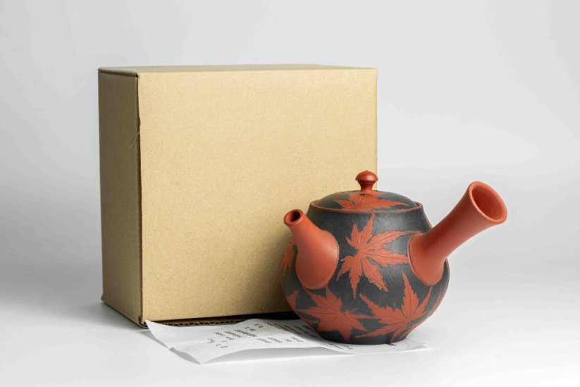 Seiho - Tsuzuki Takao Momiji Kyusu - 250ml