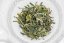 Nepal Ganesh Ilam Spring Moonshine FF2026 - 50g