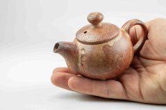Tea Pot Shino 120ml No.8