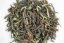 Rohini Fruity Summer Oolong 2025 - 50g
