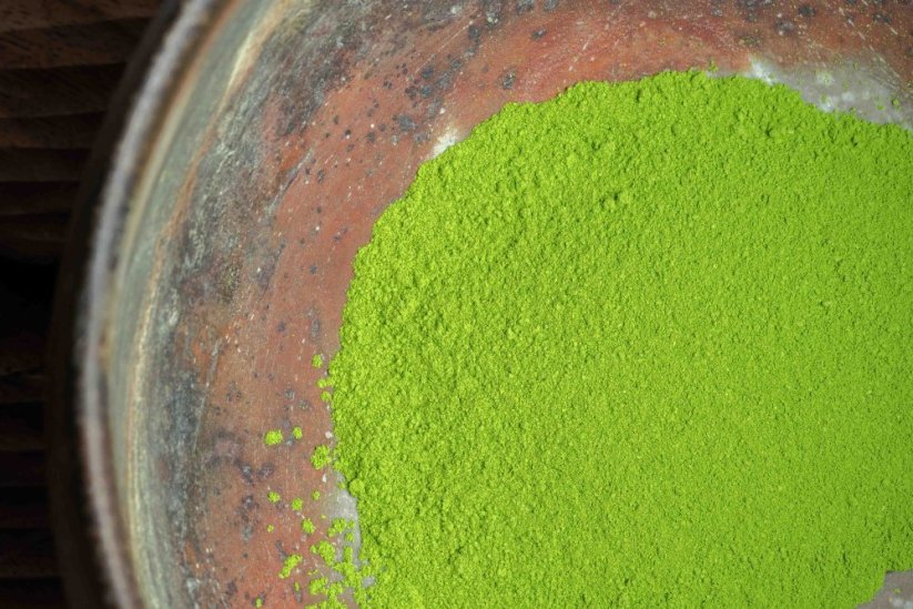Matcha Yabukita Premium Grade 2026 - 50g
