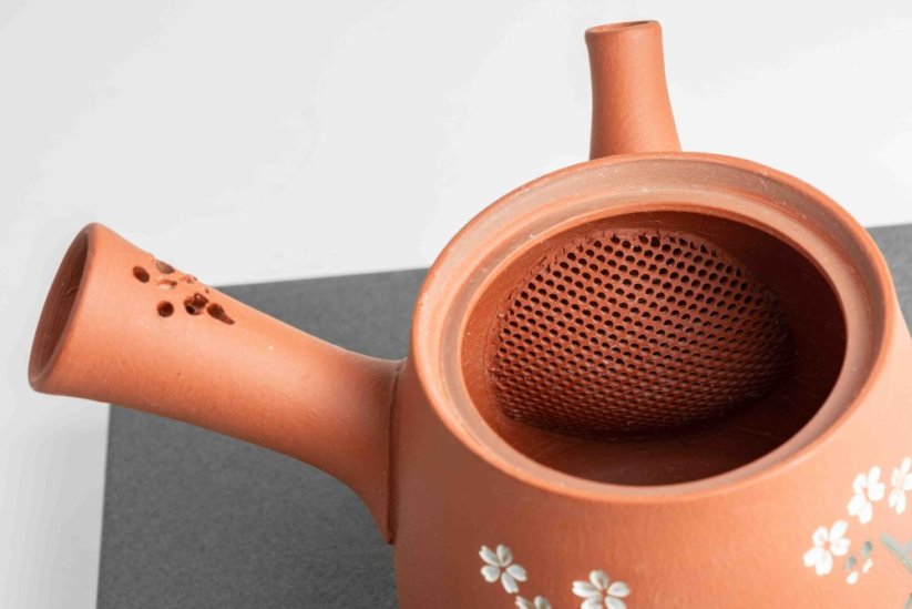 Seiho - Tsuzuki Takao Sakura Kyusu - 170ml