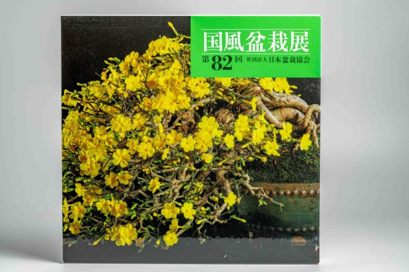 Kokufu Ten  Exhibit Books - Ročník: No.81
