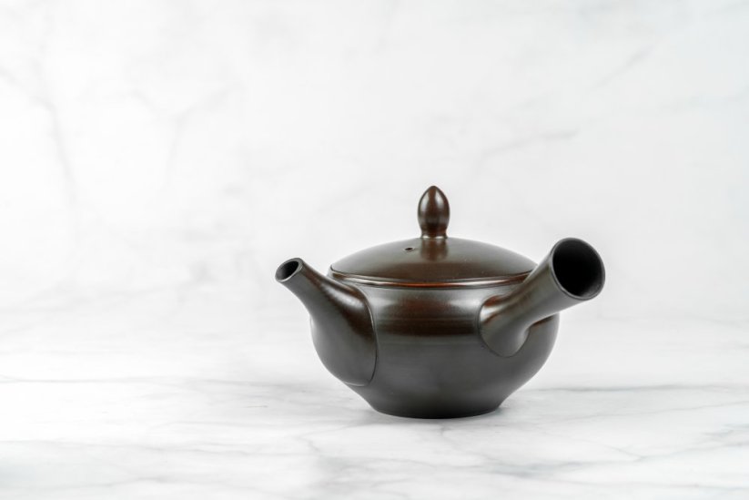 Koji Iwase Kyusu - 170 ml