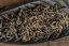 Wushe High Mt. Cliff-Grown Oolong 2023 - 30g