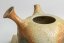 Konishi Yohei White Daisy Kyusu - 200ml