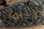 Hoang Lien Son Mountain Black Forest 2025 - 30g