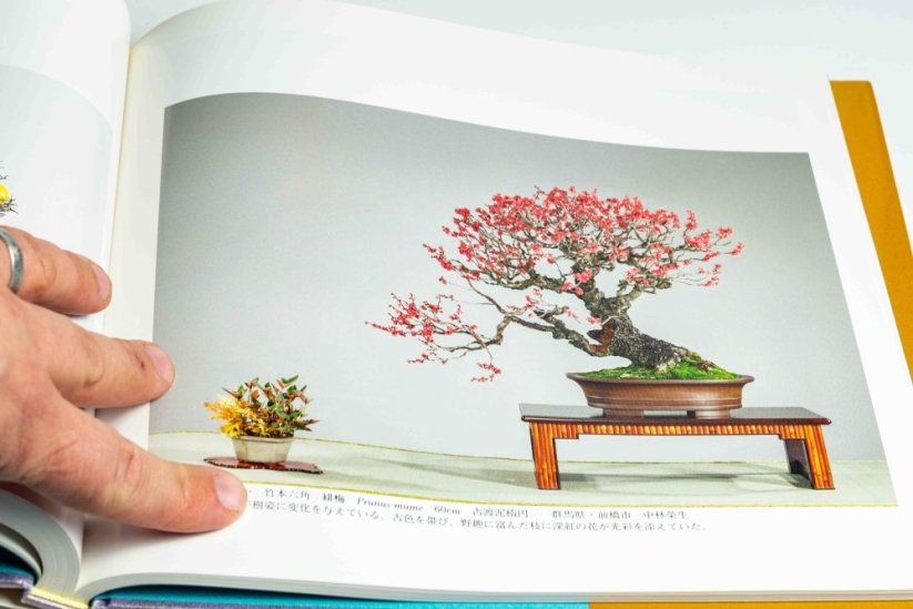 Kokufu Ten  Exhibit Books - Ročník: No.81