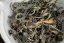 Tsou Alishan Dark Rose Summer 2016 - 30g