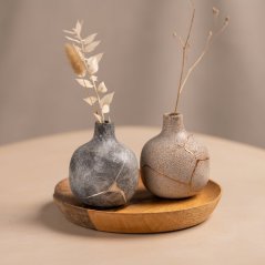 Kintsugi Bio Repair Kit: Gold & Silver