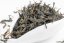 Qi Yun TTES.23 BLACK 11/2023 - 50 g
