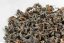 Shizuoka Koushun Red Koucha 2nd Flush 2026 - 50g