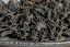 Zuo Ruyu I-Lan Rock Oolong 2014 - 30g