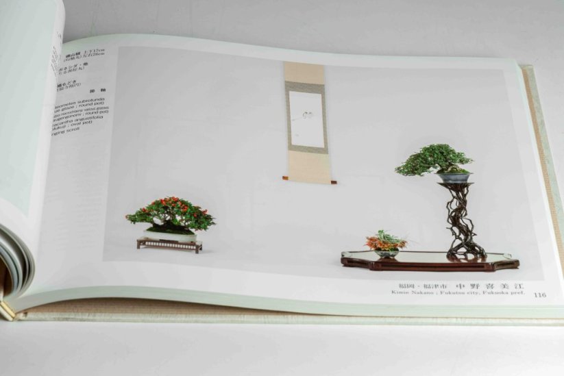 Gafu-ten Exhibit Book - 42