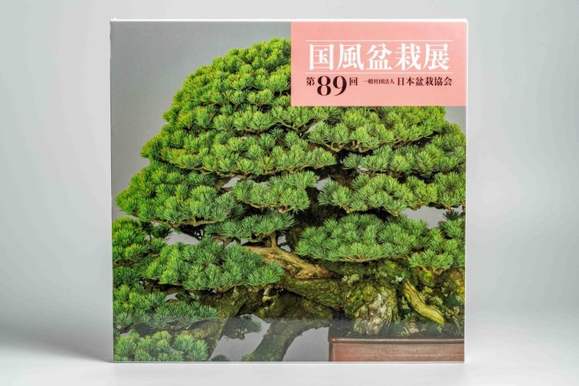 Kokufu Ten  Exhibit Books - Ročník: No.81