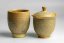 Shiboridashi Set - 120 ml