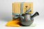 Seiho - Tsuzuki Takao Kyusu - 330ml