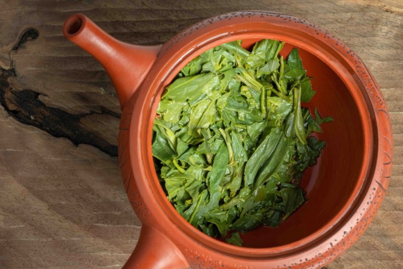 Haibara Mirai Sencha 2025 - 50g