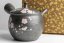 Shoryu Tenmoku Sakura Kyusu - 300ml