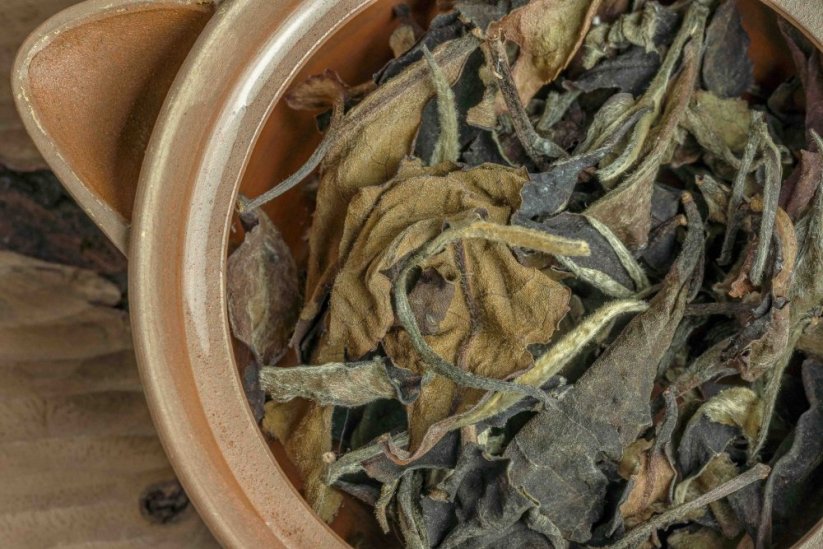 Sri Lanka High Mountain Peony 2023 - 30g