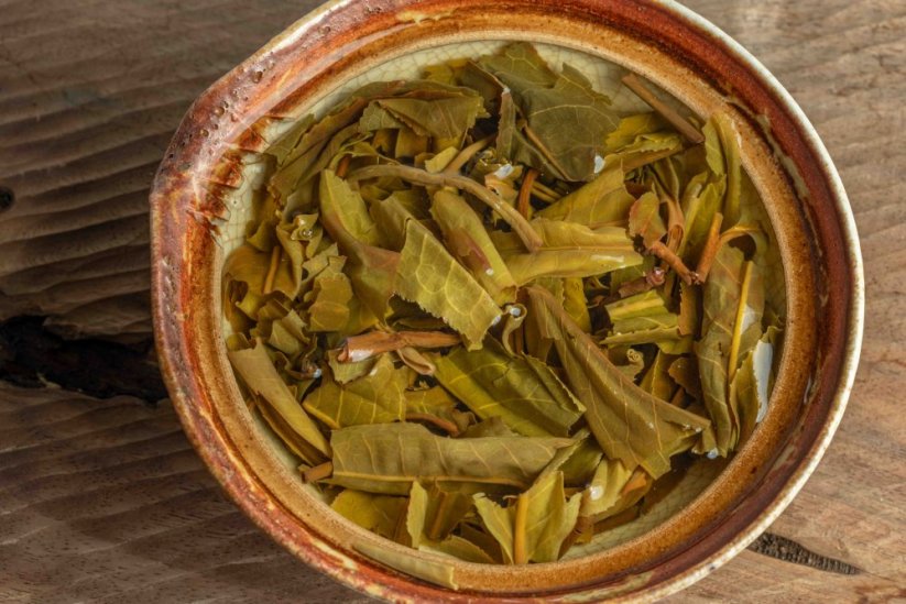 Jungle Flow - Chiang Rai Gushu Sheng 3/2024 - 100g