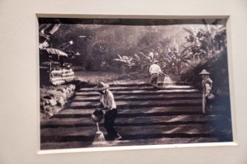 Tea Culture Museum no.1