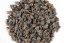 Hong Shui Dung Ti Oolong 2024 - 50g