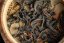 Sri Lanka T-artZ Handcrafted Oolong - 30g