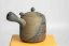 Mori Iroku IV Yohen Kyusu - 180ml