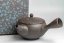 Keiichiro Watanabe Kyusu - 230 ml
