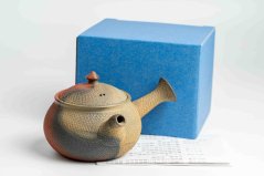 Mori Iroku IV Yohen Kyusu - 130ml