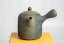 Mori Iroku IV Yohen Kyusu - 180ml