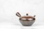 Hirotaka Umehara Mogake Kyusu - 180 ml