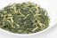 Kagoshima Ao Hojicha Kaguwashi 2025 - 50g