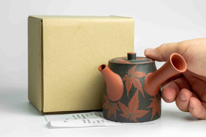 Seiho - Tsuzuki Takao Momiji Kyusu - 200ml