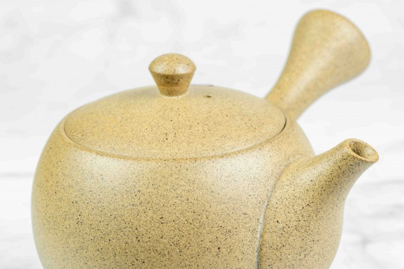 Tokoname Kyusu - 340 ml