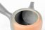 Tokoname Kyusu - 190 ml