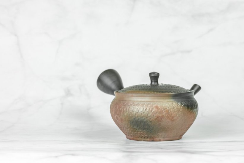 Tokoname Kyusu - 225ml
