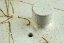 Jinshu Flat White Mogake Kyusu 80 ml