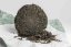 Dark Raven - Chiang Rai Gushu Shu Cha 2025 - 100g