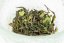 Darjeeling Ringtong Moonlight FF2025 - 50g