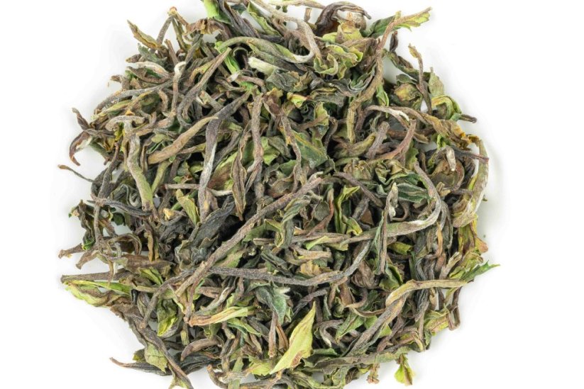 Darjeeling Giddapahar Clonal Wonder FF2026 - 50g