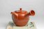 Shunen Mano Double-layer Red Plum Blossom Kyusu - 250 ml