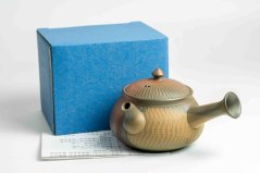 Mori Iroku IV Yohen Kyusu - 150ml