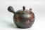 Hirotaka Umehara Red Flower Kyusu - 200ml