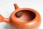 Shoyo Itoh Pine Bark Kyusu -200ml