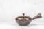 Hirotaka Umehara Mogake Kyusu - 180 ml