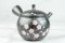 Shoryu Tenmoku Ume Kyusu - 200 ml