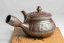 Vintage Mori Iroku III Kyusu - 250ml