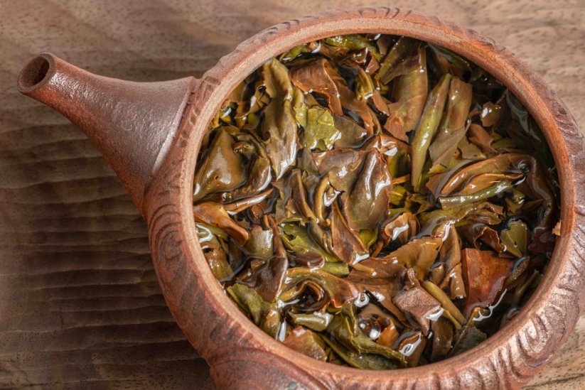 Haibara Beauty Oolong 2025 - 30g